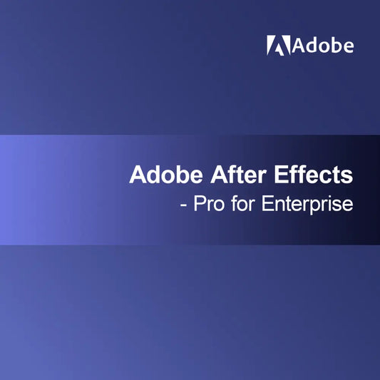Adobe After Effects - Pro per Enterprise