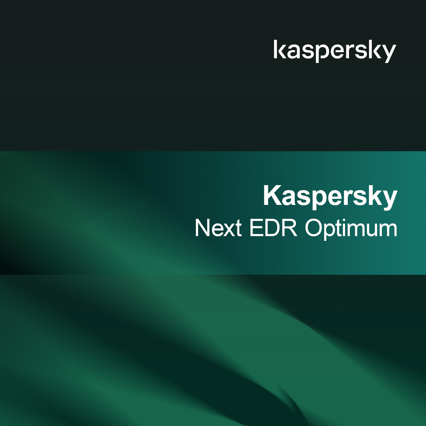 Kaspersky Next EDR Ottimale